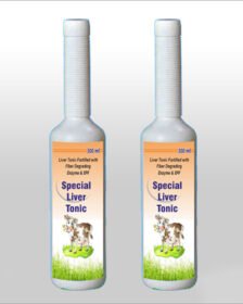 Special Liver Tonic
