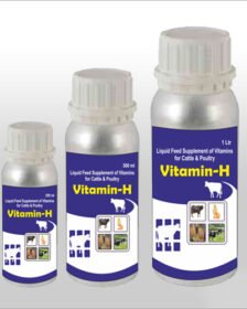 Vitamin-H