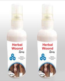 The Powerful And Ecofriendlu Antiseptic Spray
