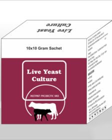 INSTANT PROBIOTIC MIX